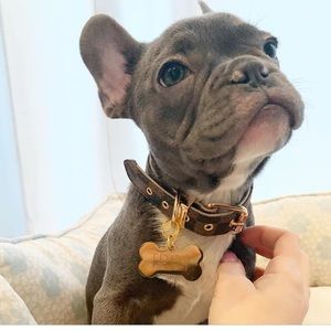 Meet your Posher, Maura